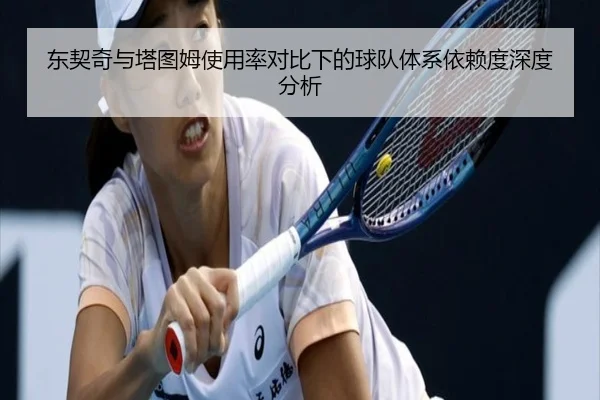 东契奇与塔图姆使用率对比下的球队体系依赖度深度分析