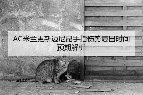 AC米兰更新迈尼昂手指伤势复出时间预期解析