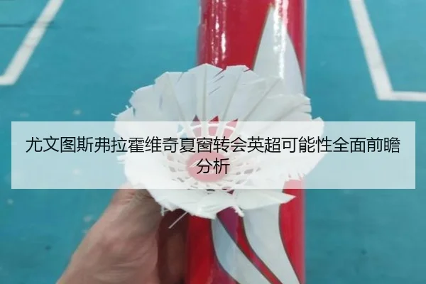 尤文图斯弗拉霍维奇夏窗转会英超可能性全面前瞻分析