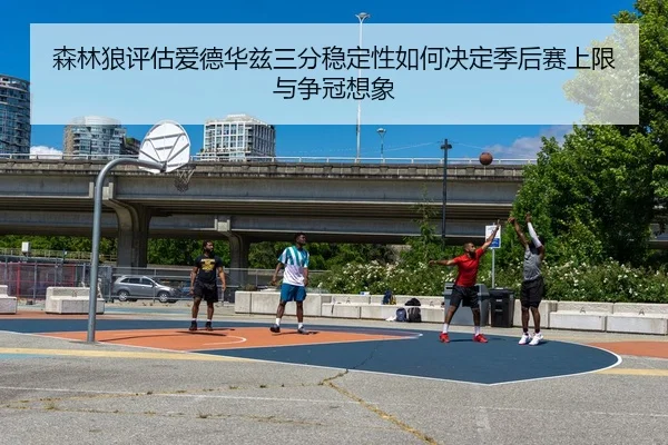 森林狼评估爱德华兹三分稳定性如何决定季后赛上限与争冠想象