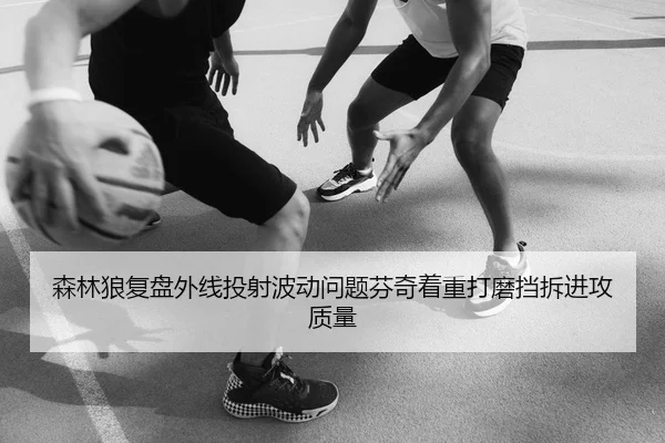 森林狼复盘外线投射波动问题芬奇着重打磨挡拆进攻质量